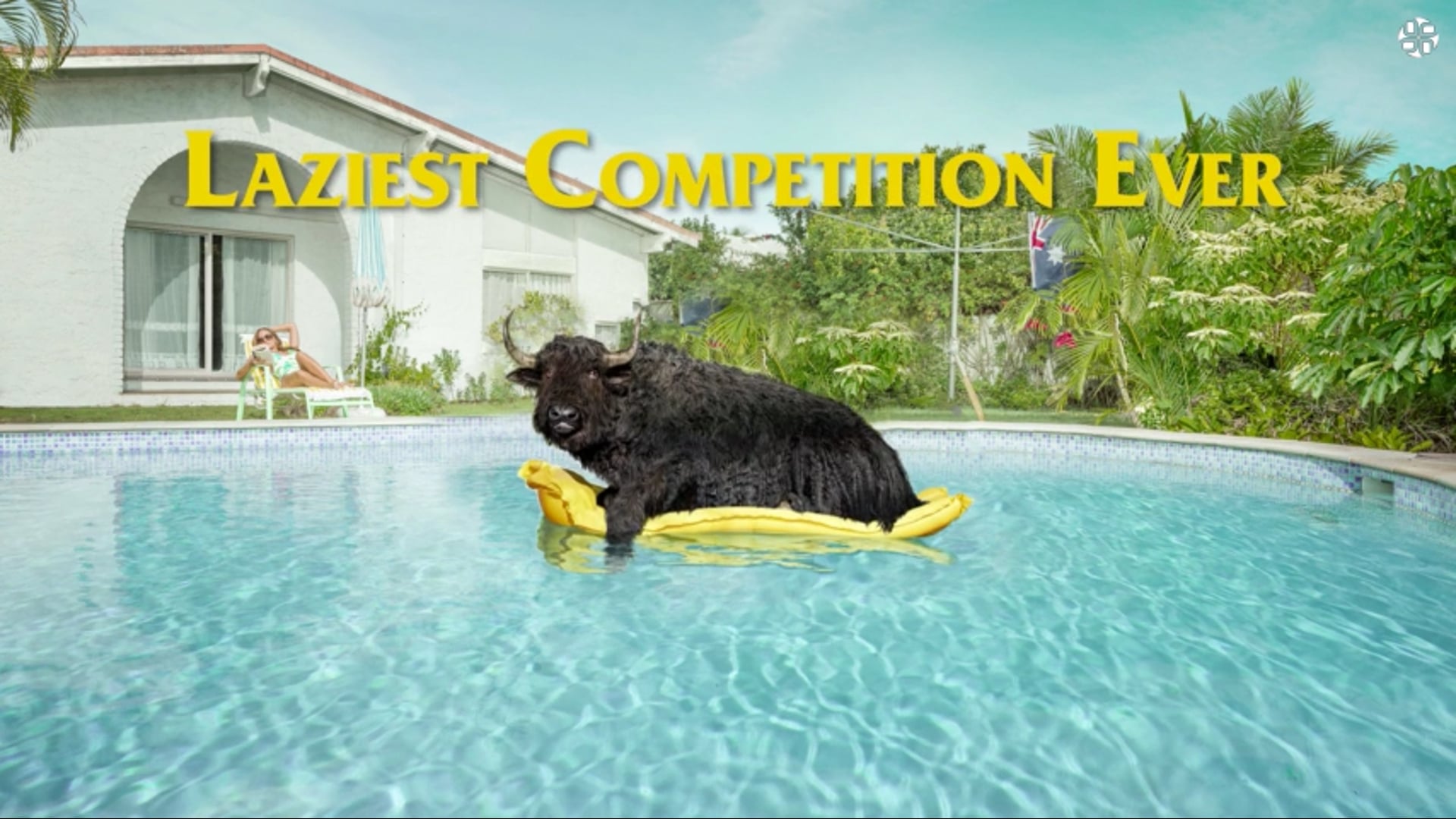 Lazy Yak / Laziest Competition Ever