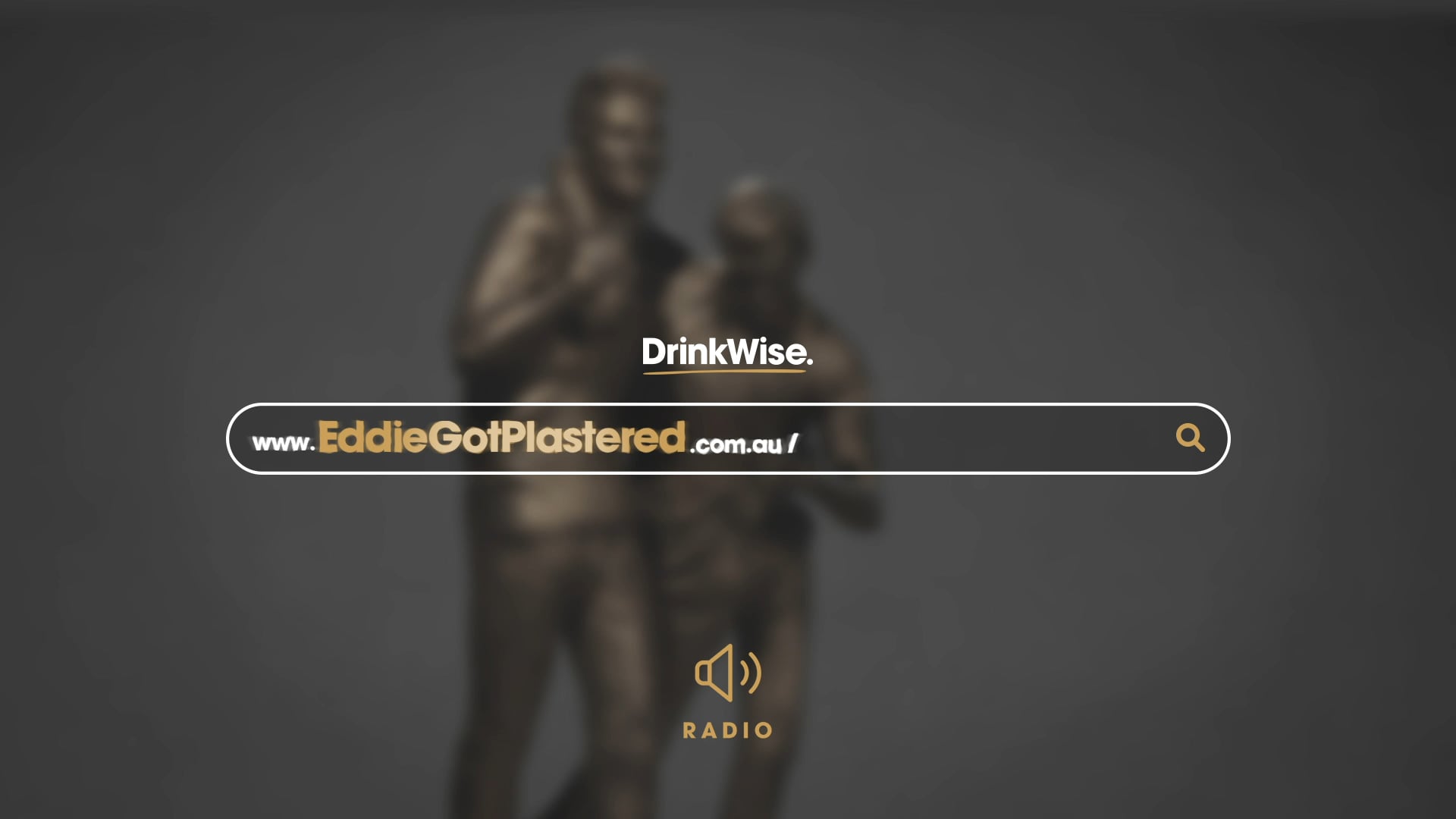 DrinkWise / www.EddieGotPlastered.com.au