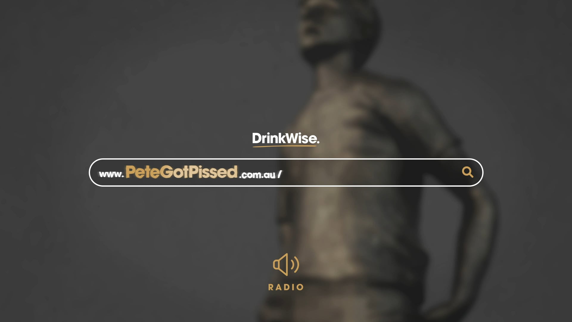 DrinkWise / www.PeteGotPissed.com.au