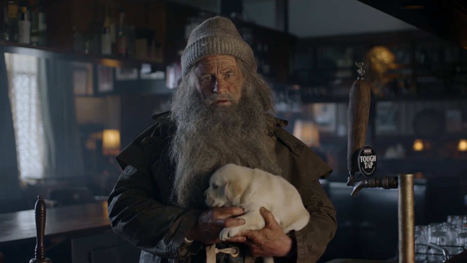 Mercury Cider / Puppies