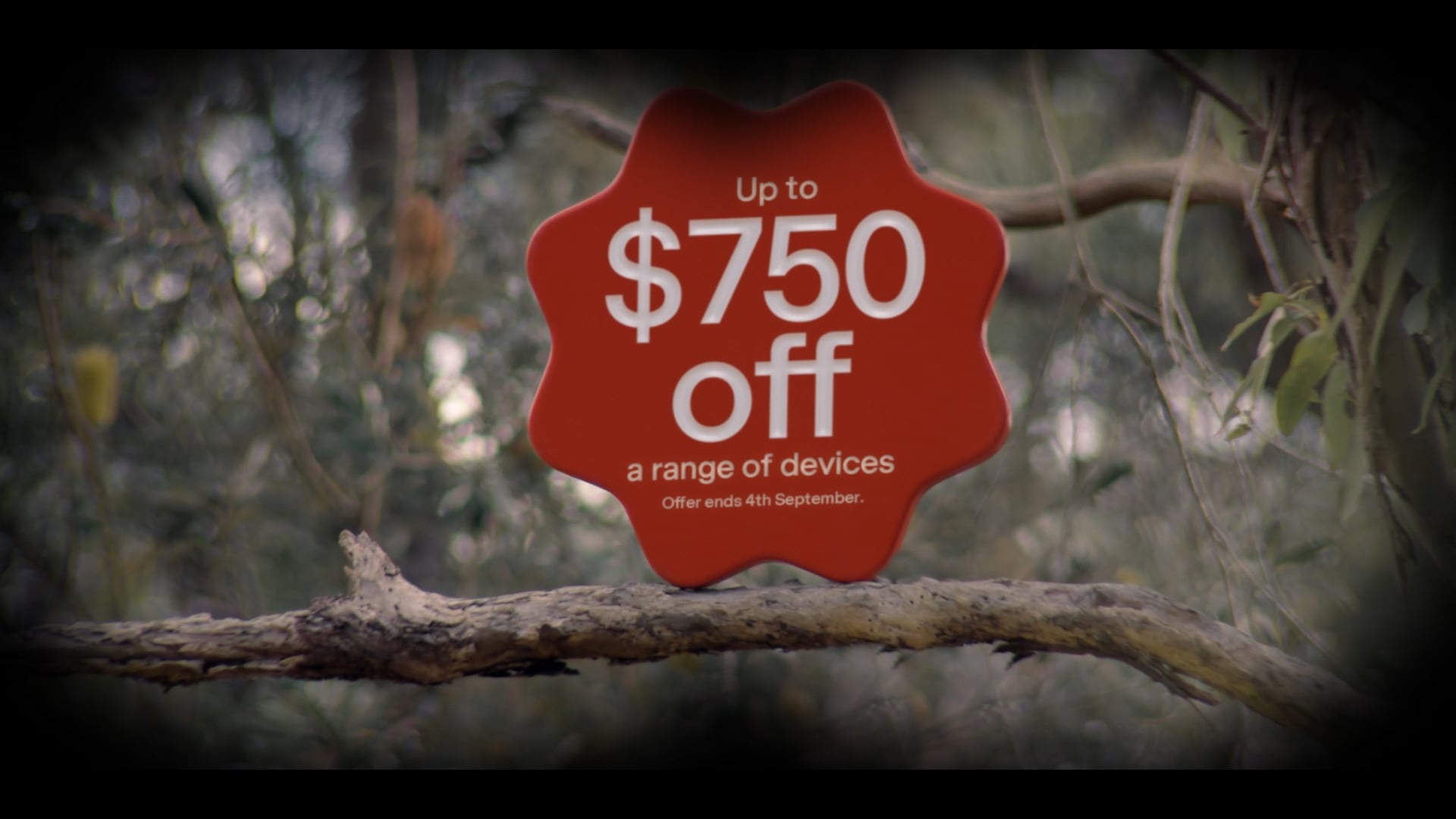 Telstra / Deals You Didn't See Coming / Bird Watcher